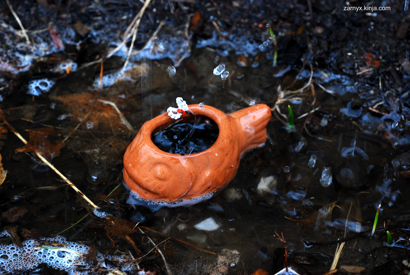 Illustration for article titled PhO-TAYGraphy Club: Water, Water, Everywhere